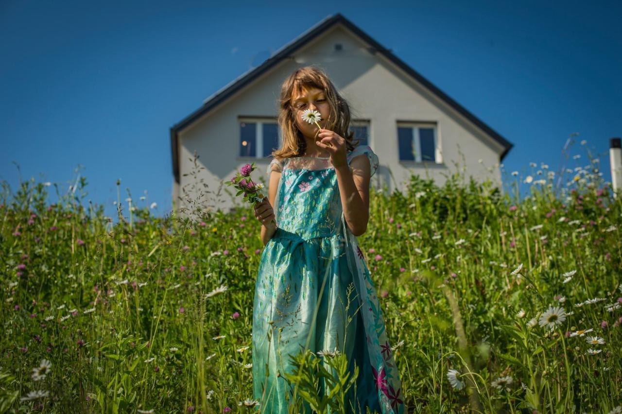 Vila Vernig Блед Екстериор снимка